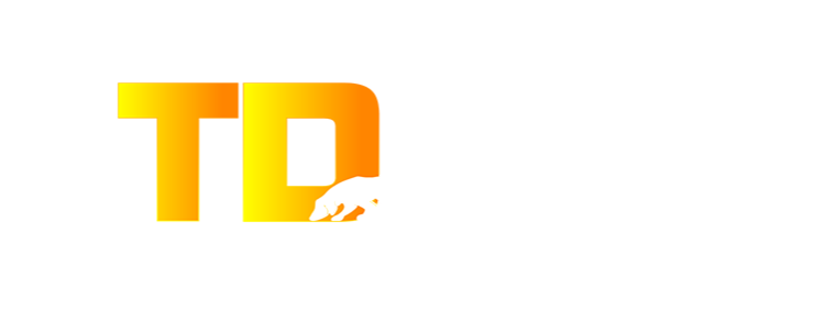 TDX