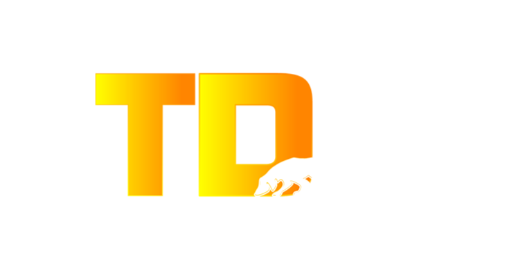 TDMM